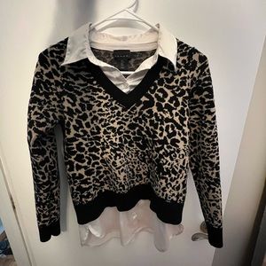 tahari long sleeve sweater blouse